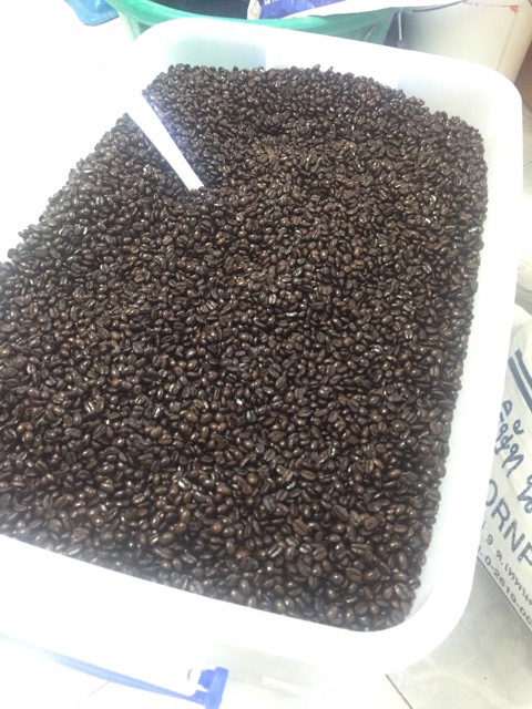 Medium Dark Roast สีแดง - Image 4