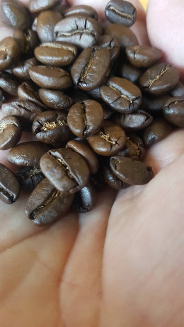 Medium Dark Roast สีแดง - Image 6